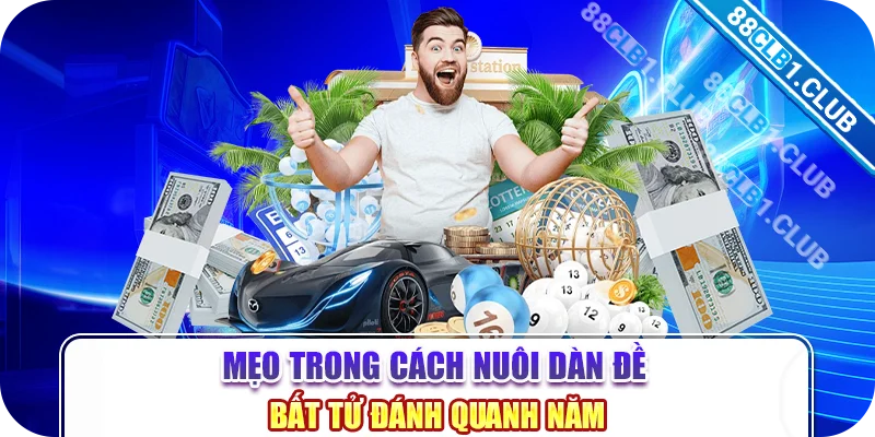 Mẹo trong cách nuôi dàn đề bất tử đánh quanh năm