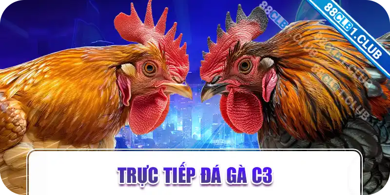 Trực tiếp đá gà c3