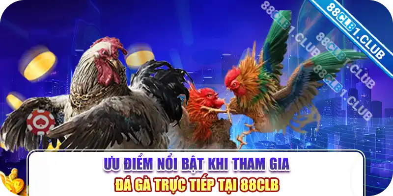 Ưu điểm nổi bật khi tham gia đá gà trực tiếp tại 88CLB