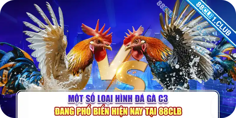 Một số loại hình đá gà C3 đang phổ biến hiện nay tại 88CLB