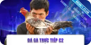 Đá gà trực tiếp C2