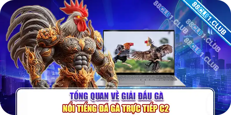 Tổng quan về giải đấu gà nổi tiếng đá gà trực tiếp c2