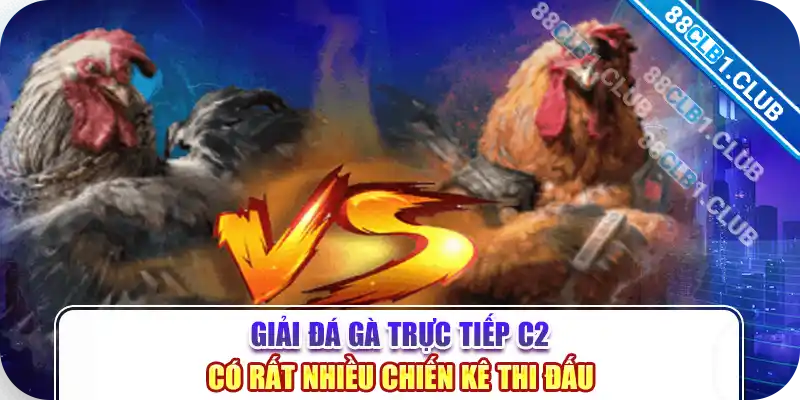 Giải đá gà trực tiếp c2 có rất nhiều chiến kê thi đấu