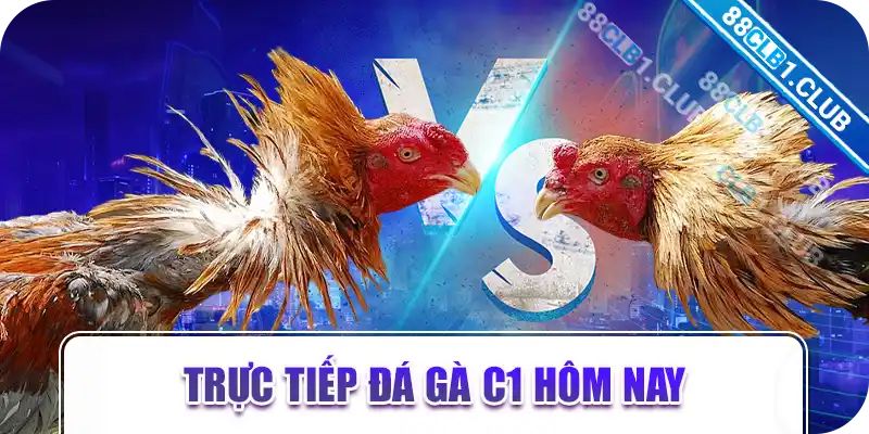 trực tiếp đá gà c1 hôm nay