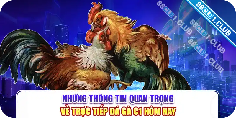 Những thông tin quan trọng về trực tiếp đá gà c1 hôm nay