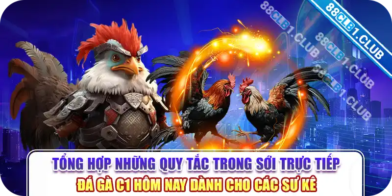 Tổng hợp những quy tắc trong sới trực tiếp đá gà c1 hôm nay dành cho các sư kê