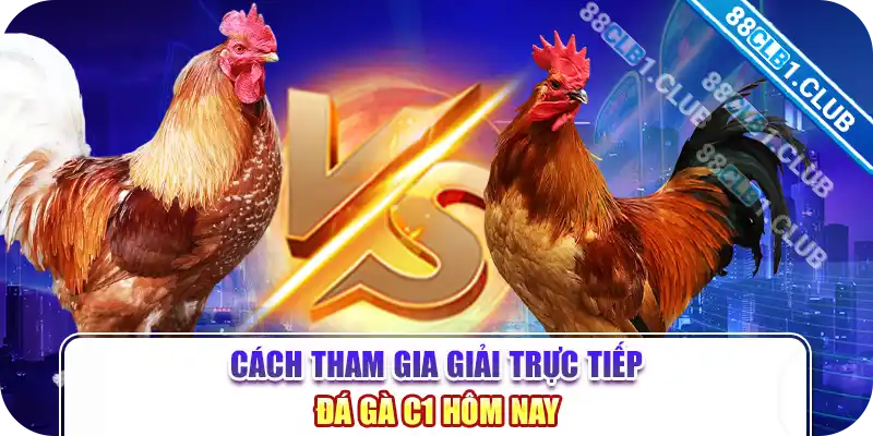 Cách tham gia giải trực tiếp đá gà c1 hôm nay