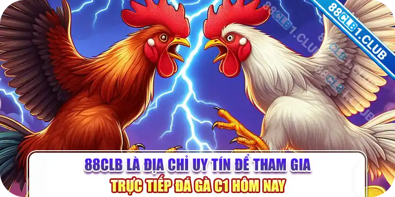 88CLB là địa chỉ uy tín để tham gia trực tiếp đá gà c1 hôm nay