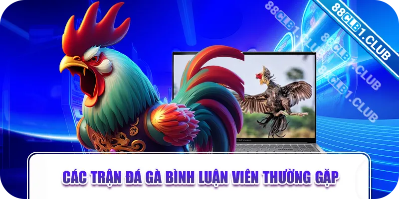 Các trận đá gà bình luận viên thường gặp