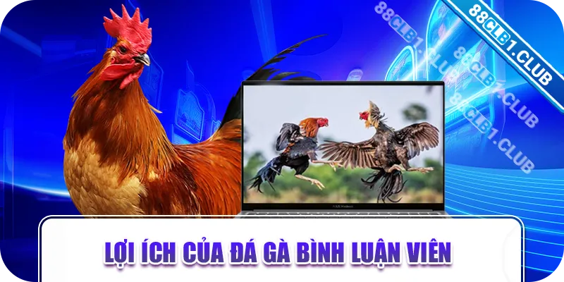 Lợi ích của đá gà bình luận viên