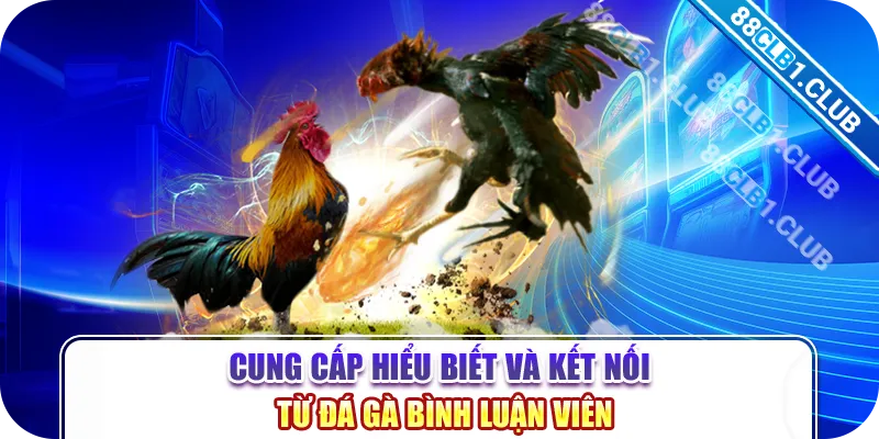 Cung cấp hiểu biết và kết nối từ đá gà bình luận viên