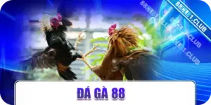 Đá gà 88