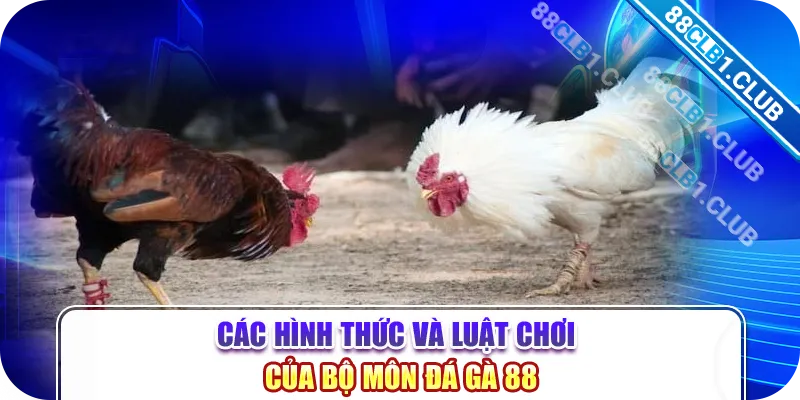 Các hình thức và luật chơi của bộ môn đá gà 88