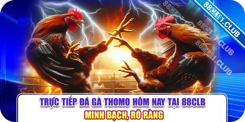 Trực tiếp Đá gà Thomo hôm nay tại 88CLB minh bạch, rõ ràng