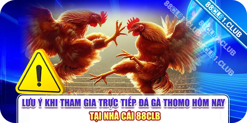 Lưu ý khi tham gia trực tiếp đá gà Thomo hôm nay tại nhà cái 88CLB