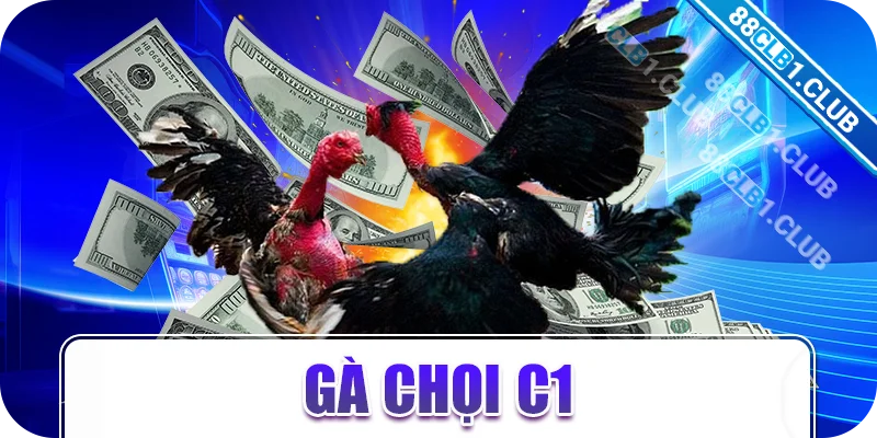 gà chọi c1