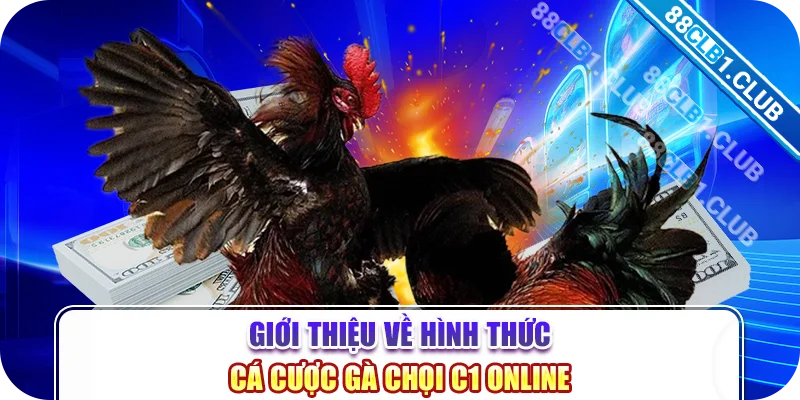 Giới thiệu về hình thức cá cược gà chọi c1 online 