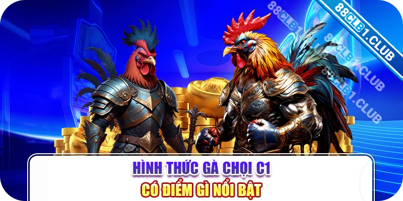 Hình thức gà chọi c1 có điểm gì nổi bật