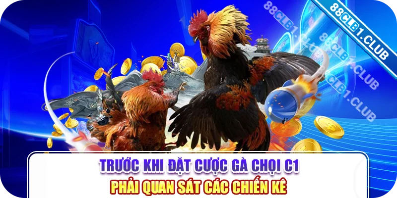 Trước khi đặt cược gà chọi c1 phải quan sát các chiến kê