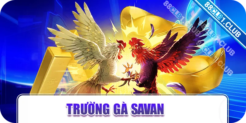 Trường gà Savan