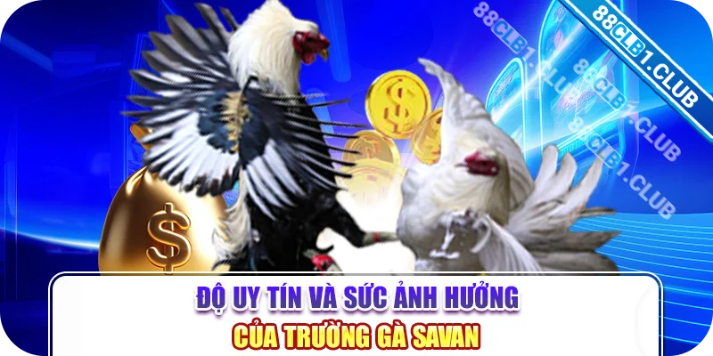 Độ uy tín và sức ảnh hưởng của trường gà Savan