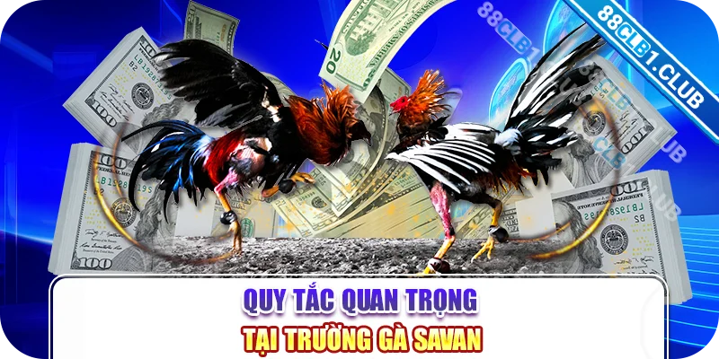 Quy tắc quan trọng tại trường gà Savan