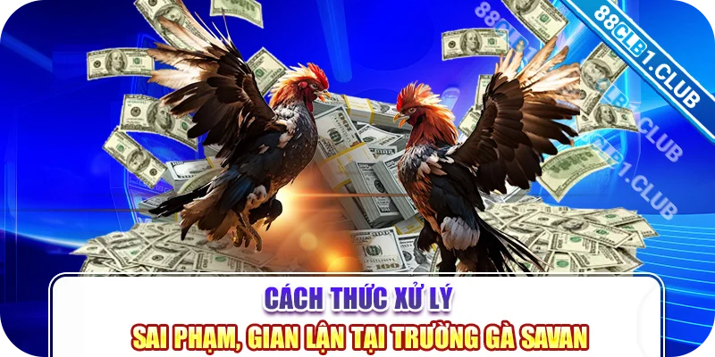 Cách thức xử lý sai phạm, gian lận tại trường gà Savan