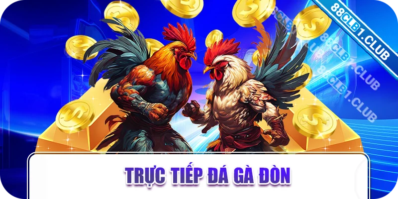 Trực tiếp đá gà đòn