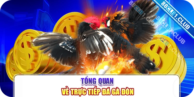 Tổng quan về trực tiếp đá gà đòn