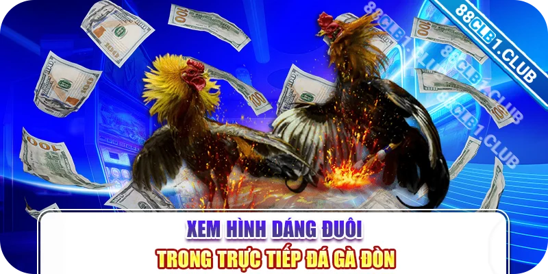 Xem hình dáng đuôi trong trực tiếp đá gà đòn