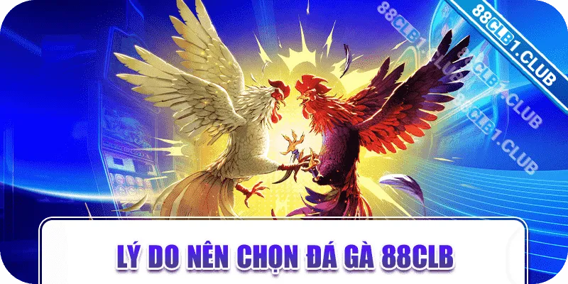 Lý do nên chọn đá gà 88CLB